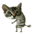 :gato: